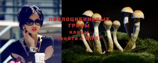 трава Абинск